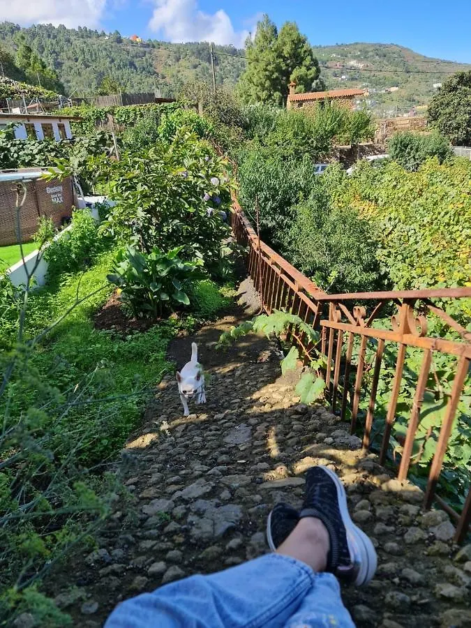 Сasa de vacaciones Los Huertos Conect With The Nature & Relax Icod De Los Vinos